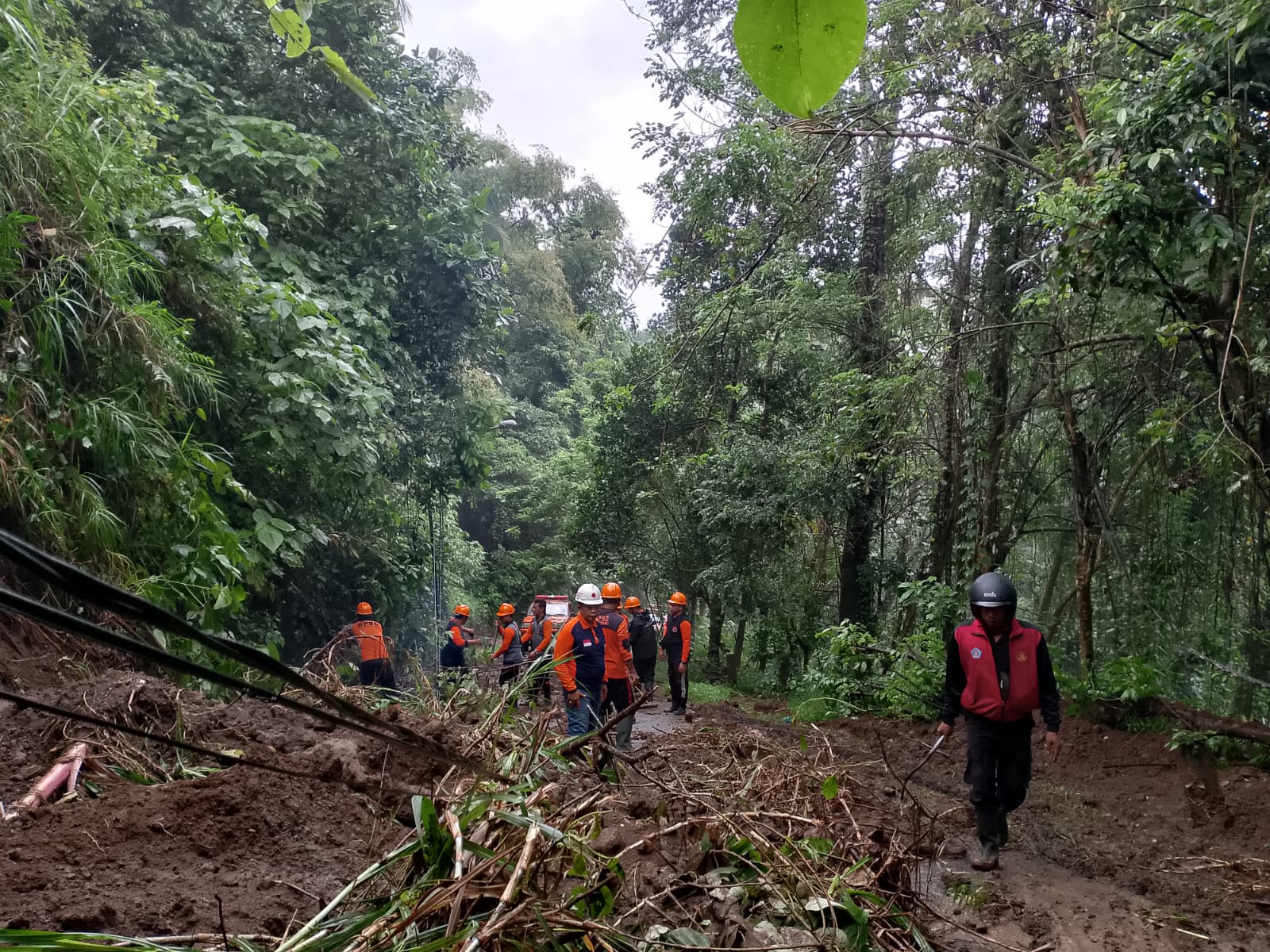 Tanah Longsor di Dusun Anjingan, Desa Tihingan, Kec. Banjarangkan Tanggal 25 Juni 2025