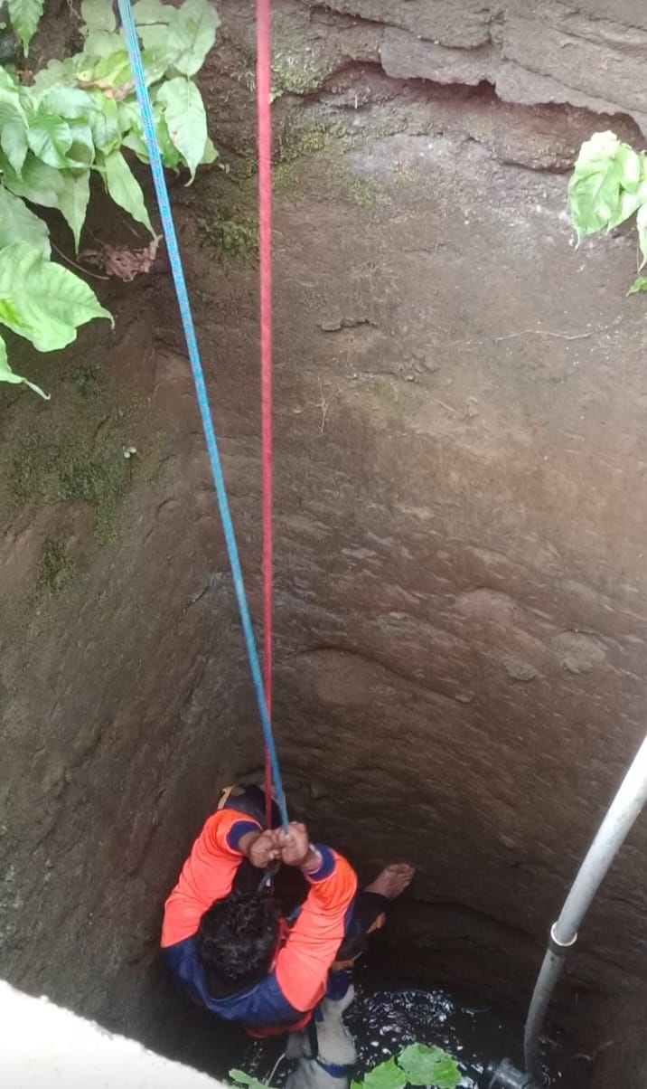 Seekor Anjing Jatuh Kesumur, BPBD Klungkung Berhasil Evakuasi